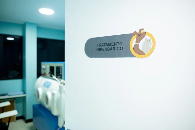Câmara hiperbárica veterinária preço