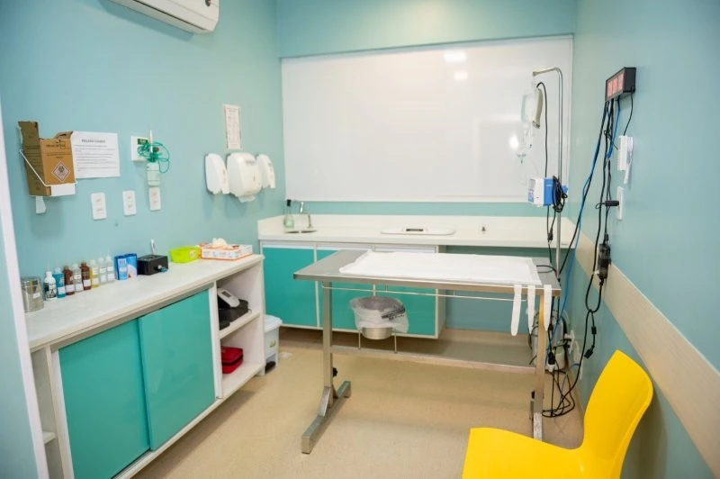 Emergência veterinária 24h