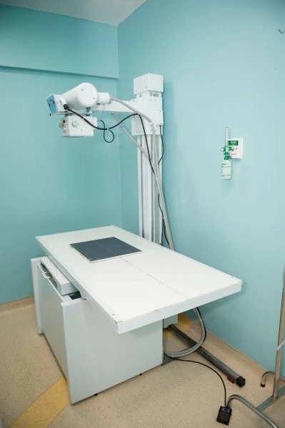 Exames veterinário em Salvador