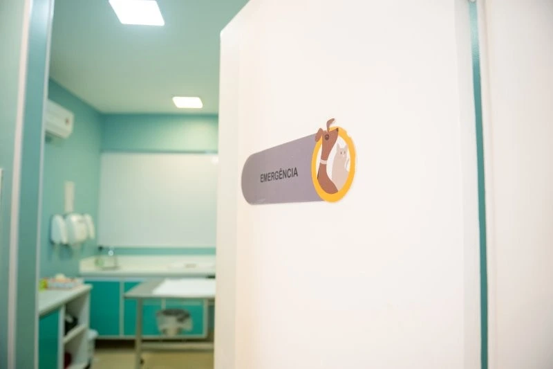 Hospital para animais em Salvador