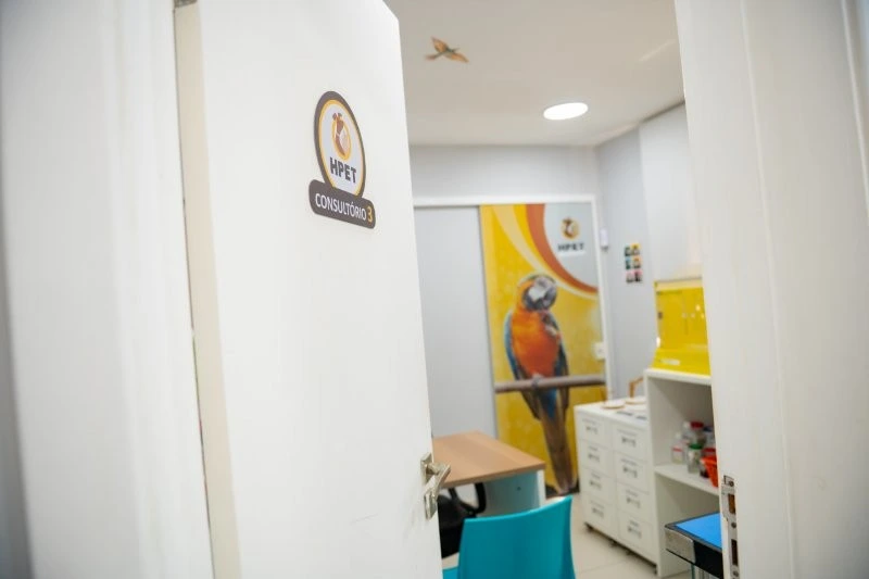 Hospital veterinário de animais exóticos