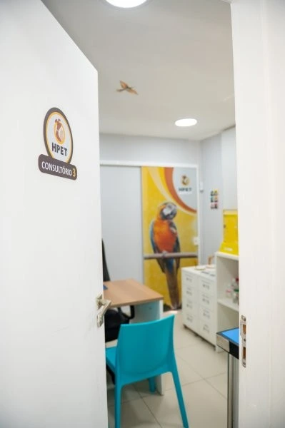Hospital veterinário para animais silvestres