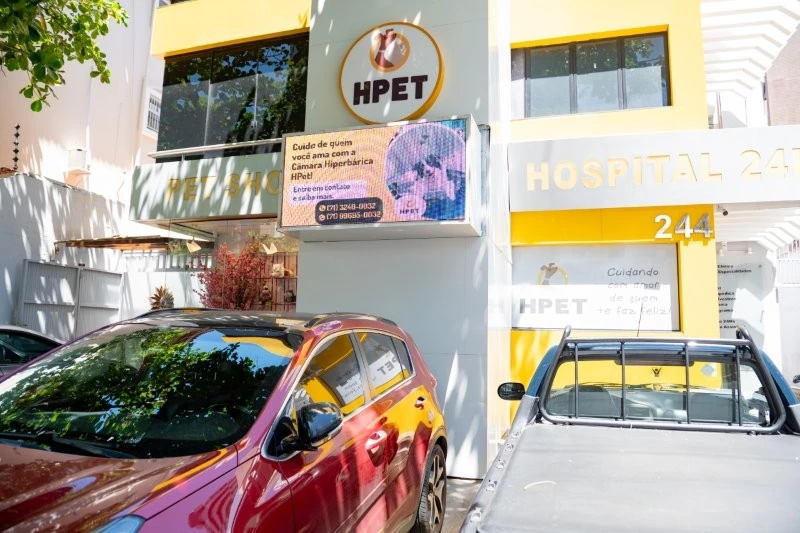 Hospital veterinário perto