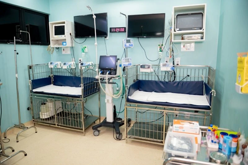 Internação clínica veterinária