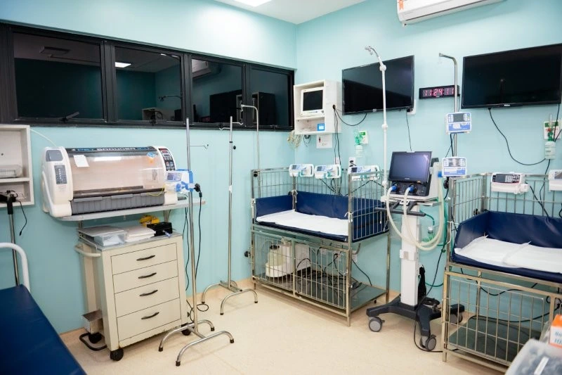 Internação veterinária em Salvador